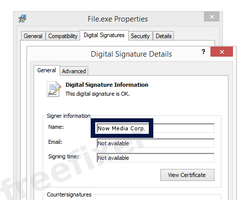 Screenshot of the Now Media Corp. certificate